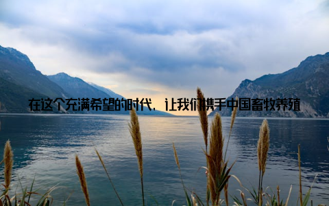 在这个充满希望的时代, 让我们携手中国畜牧养殖协会, 共同见证畜牧养殖行业的辉煌历程, 为乡村振兴战略贡献自己的力量! 畜牧养殖, 未来可期中国畜牧养殖协会, 一个充满活力的组织, 一个充满希望的名字