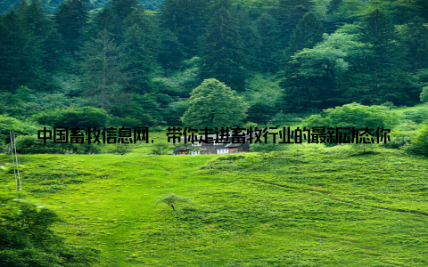 中国畜牧信息网, 带你走进畜牧行业的最新动态你是否曾好奇过, 那些我们日常食用的肉类、奶制品, 是如何从农场到餐桌的呢? 中国畜牧信息网独家报道, 带你一探究竟