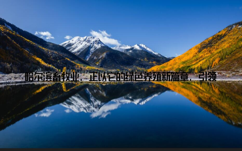 哈尔滨畜牧业, 正以它的绿色养殖新篇章, 引领着东北农业发展的潮流, 为这片黑土地注入了新的活力与希望