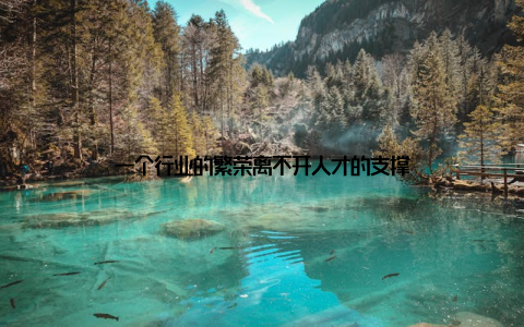 一个行业的繁荣离不开人才的支撑
