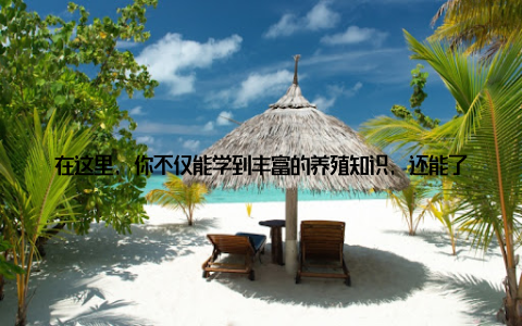 在这里, 你不仅能学到丰富的养殖知识, 还能了解到行业的前沿动态 独家畜牧行业最新动态, 让你紧跟潮流作为一名年轻的畜牧爱好者, 你是否渴望紧跟行业潮流北京畜牧网独家畜牧行业最新动态, 让你不错过任何一个重要信息