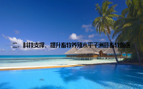 二、科技支撑, 提升畜牧养殖水平子洲县畜牧兽医部门坚持以科技创新为引领, 不断提升畜牧养殖水平, 助力乡村振兴