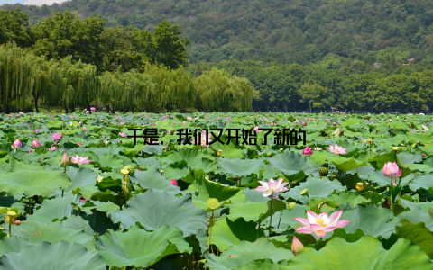 于是, 我们又开始了新的