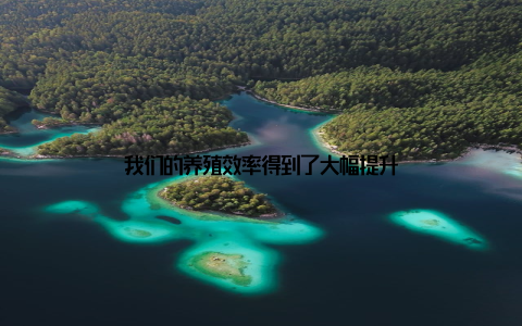 我们的养殖效率得到了大幅提升