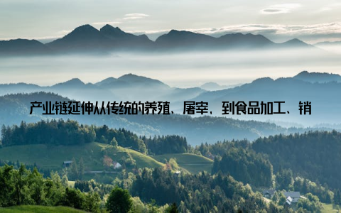 产业链延伸从传统的养殖、屠宰, 到食品加工、销售, 上海畜牧业产业链不断延伸, 为消费者提供更多优质产品