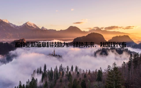 畜牧业新篇章科技助力, 绿色未来, 我国现代畜牧业崛起记在这个充满活力的时代, 我国现代畜牧业正以其迅猛的步伐, 开启着一场绿色生态养殖的新革命
