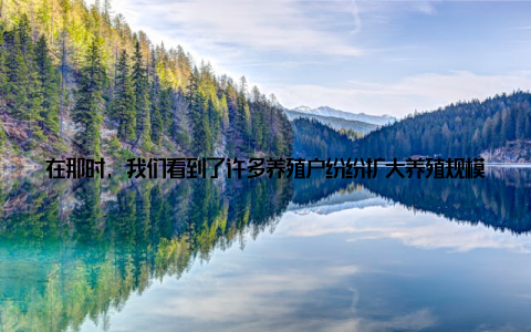 在那时, 我们看到了许多养殖户纷纷扩大养殖规模, 从几头猪、几十只鸡, 到几百头猪、几千只鸡, 养殖业的野心可见一斑在这片繁荣的背后, 我们也看到了一些问题