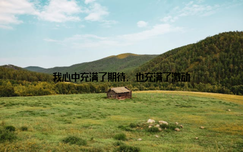 我心中充满了期待, 也充满了激动