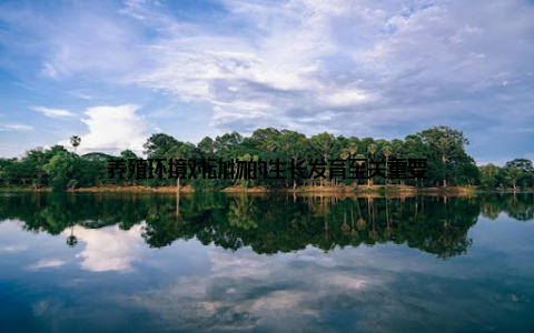 养殖环境对动物的生长发育至关重要