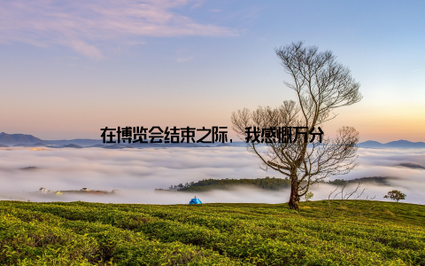 在博览会结束之际, 我感慨万分
