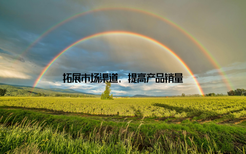 拓展市场渠道, 提高产品销量