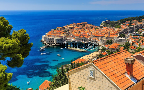 这个真相让我震惊不已