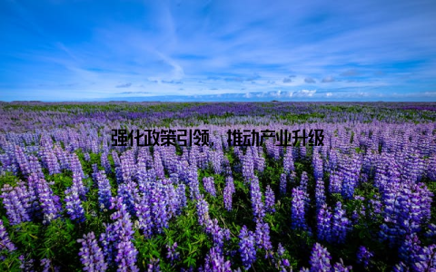 强化政策引领, 推动产业升级
