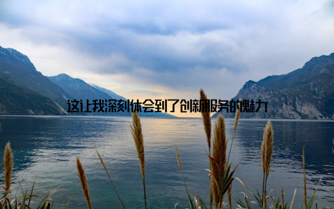 这让我深刻体会到了创新服务的魅力