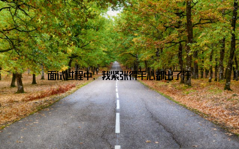 面试过程中, 我紧张得手心都出了汗