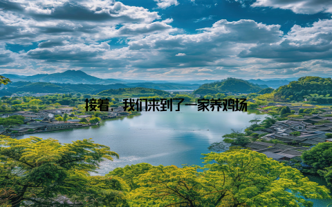 接着, 我们来到了一家养鸡场