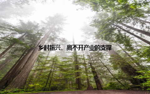 乡村振兴, 离不开产业的支撑