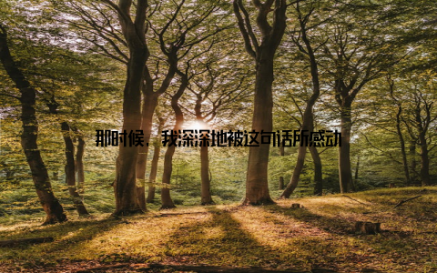 那时候, 我深深地被这句话所感动