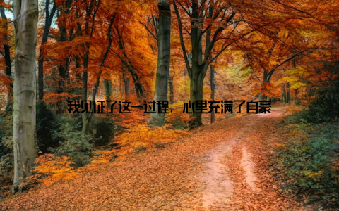 我见证了这一过程, 心里充满了自豪