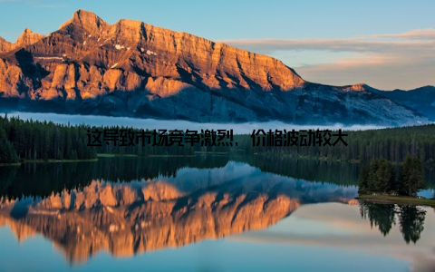 这导致市场竞争激烈, 价格波动较大