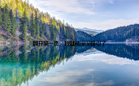 翻开第一页, 我就被深深吸引了