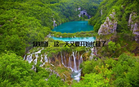 我知道, 这一天又要开始忙碌了