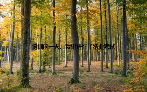 培训的一天, 我们进行了结业考试