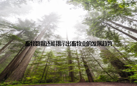 畜牧数据还能揭示出畜牧业的发展趋势