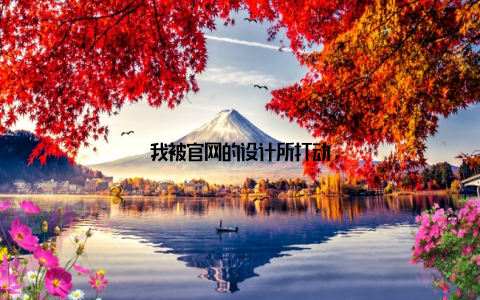 我被官网的设计所打动