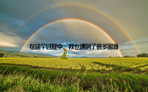 在这个过程中, 我也遇到了很多困难