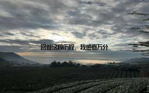 回首这段历程, 我感慨万分