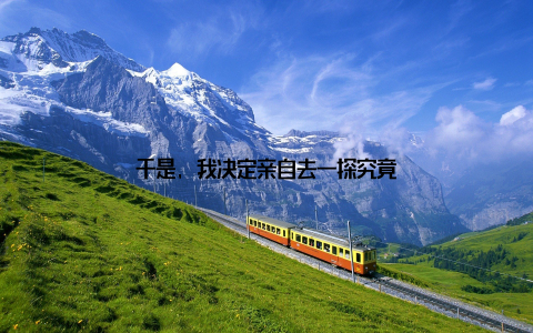 于是, 我决定亲自去一探究竟