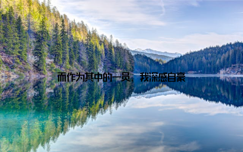 而作为其中的一员, 我深感自豪