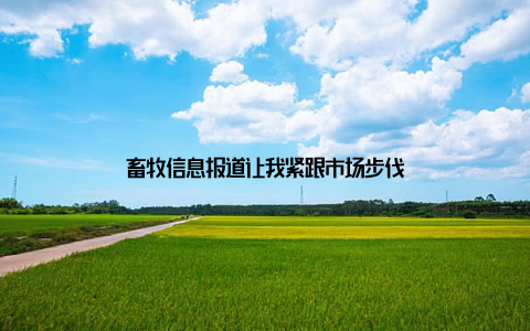 畜牧信息报道让我紧跟市场步伐