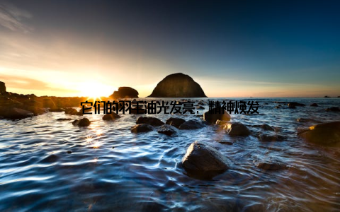 它们的羽毛油光发亮, 精神焕发