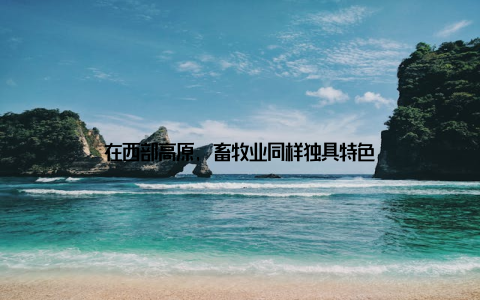 在西部高原, 畜牧业同样独具特色