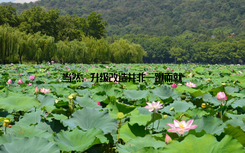 当然, 升级改造并非一蹴而就