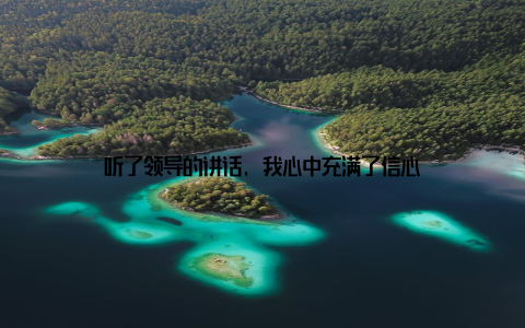 听了领导的讲话, 我心中充满了信心