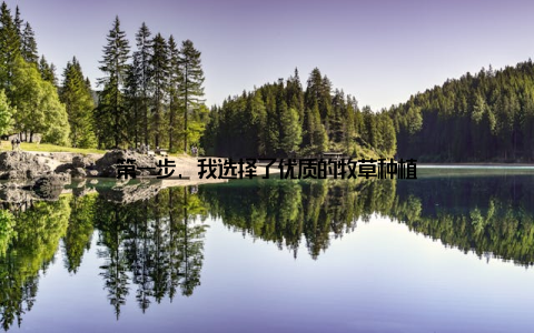 第一步, 我选择了优质的牧草种植