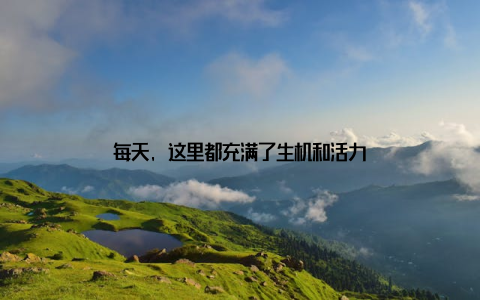 每天, 这里都充满了生机和活力