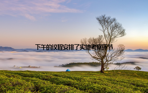 下午的议程安排了实地考察环节