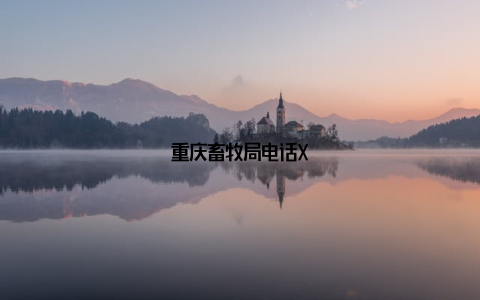 重庆畜牧局电话X–