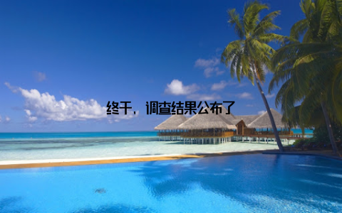 终于, 调查结果公布了
