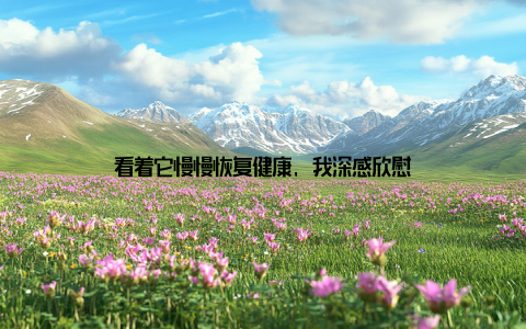 看着它慢慢恢复健康, 我深感欣慰