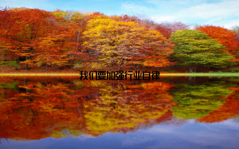 我们要加强行业自律