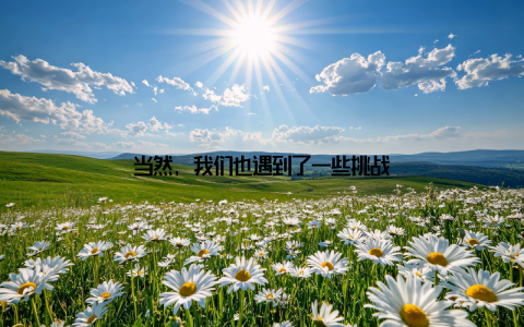 当然, 我们也遇到了一些挑战