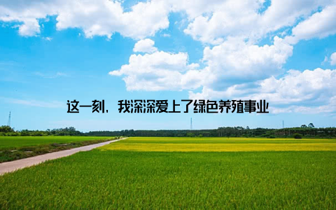 这一刻, 我深深爱上了绿色养殖事业