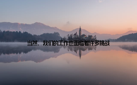 当然, 我们的工作也面临着许多挑战
