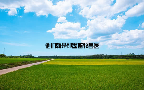 他们就是即墨畜牧兽医