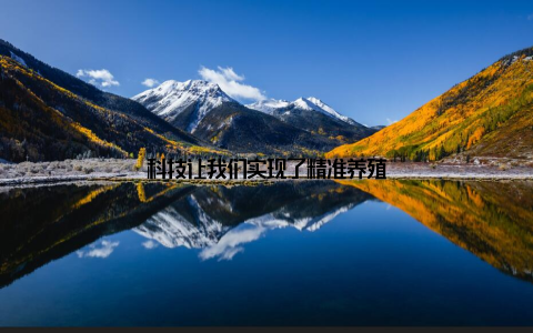 科技让我们实现了精准养殖